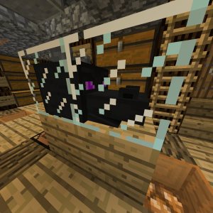 Ein Drachenkopf im Glaskasten