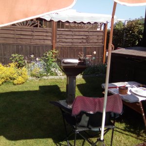 Es schnuppert schon.