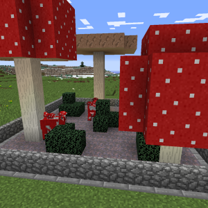 Pilzkühe ziehen ein