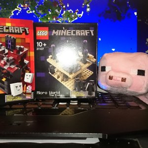 Ein Traum für Minecraftler