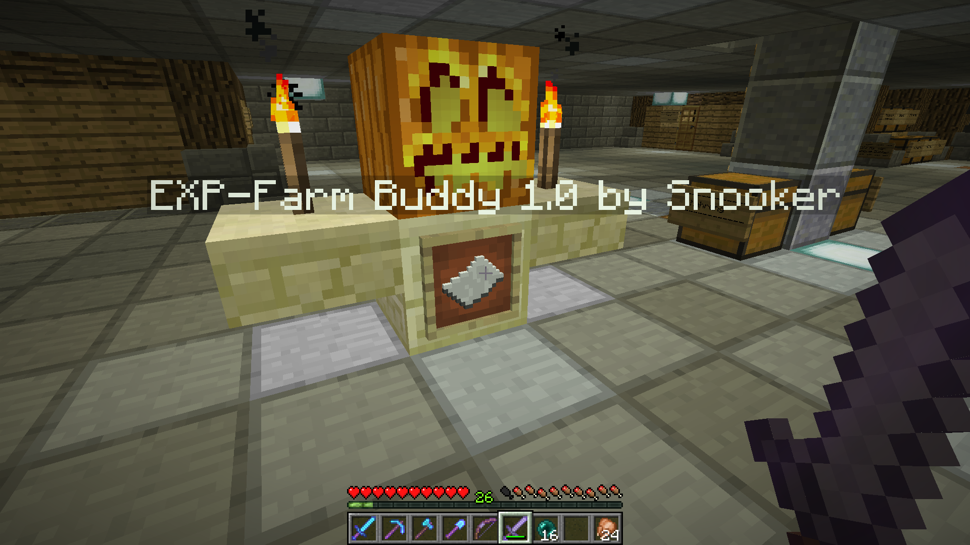 Damit niemand mehr alleine EXP farmen muss ... :D