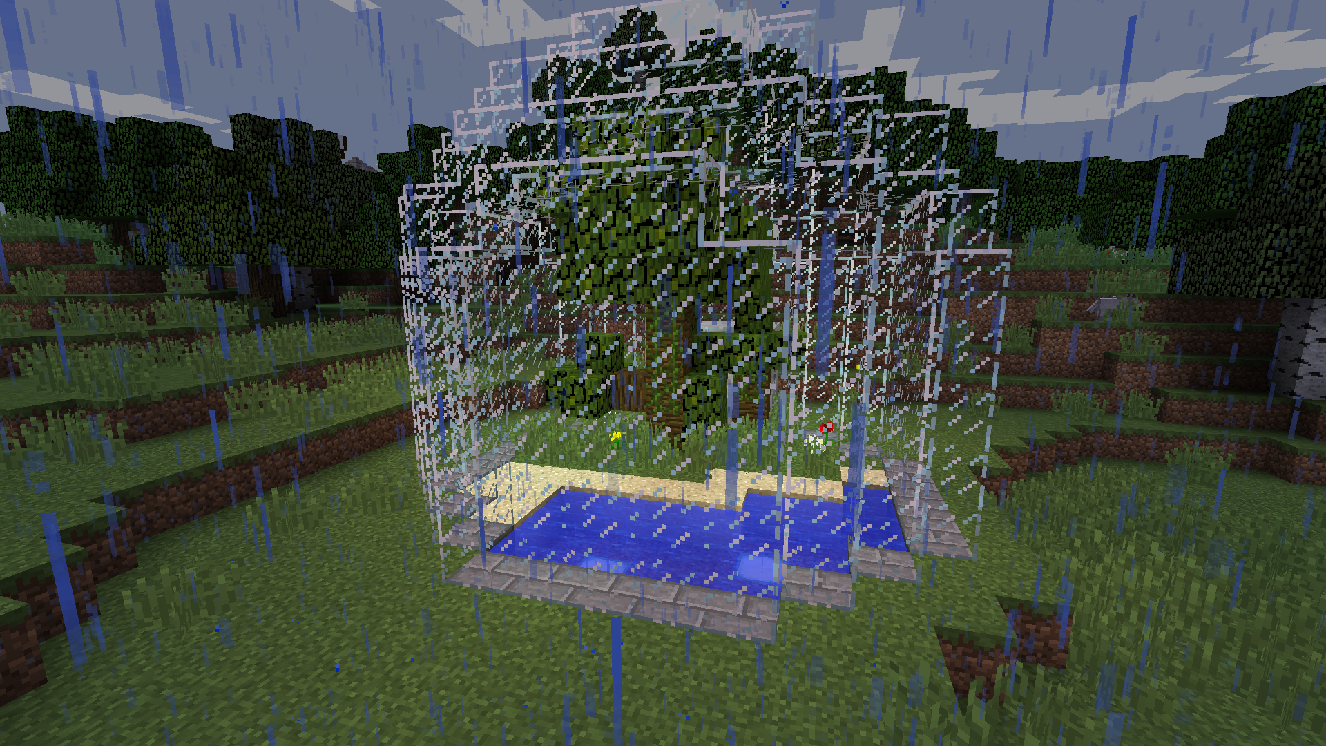 Käfig für die Papageien