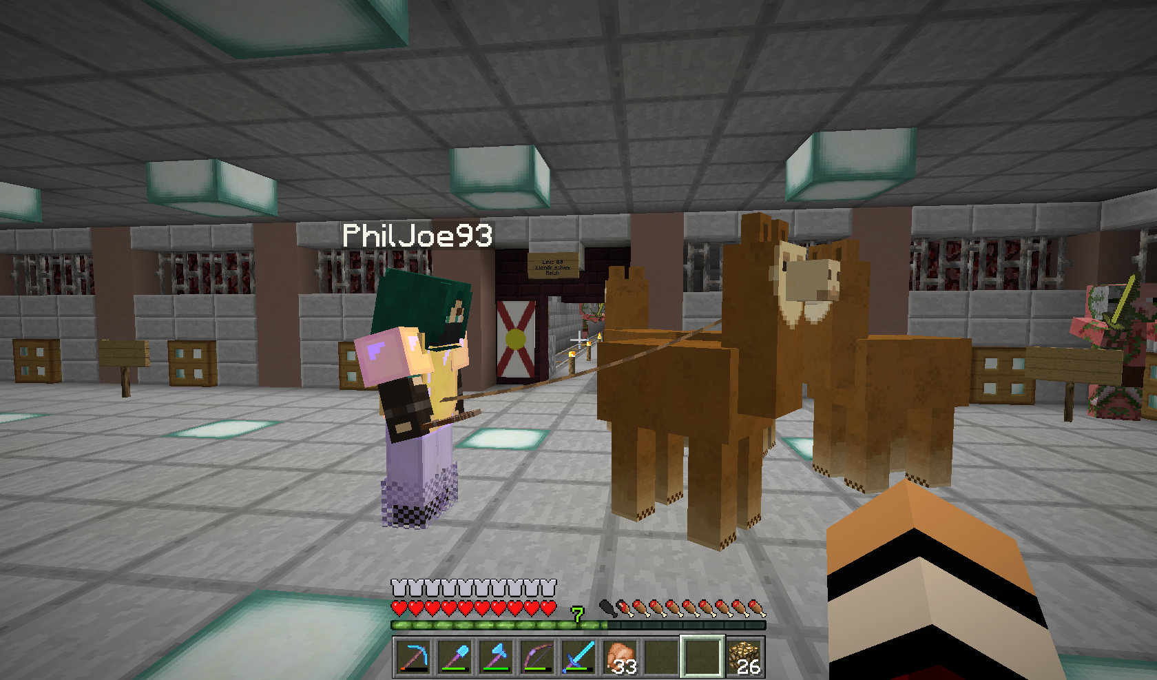 Lama Tour 2016 - PhilJoe93 und Elendrios