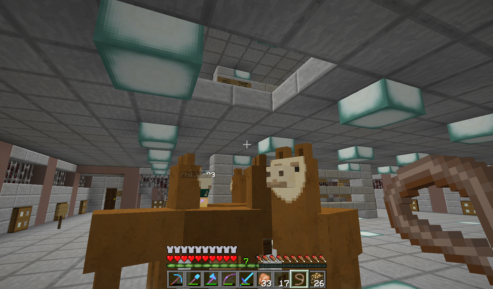 Lama Tour 2016 - PhilJoe93 und Elendrios