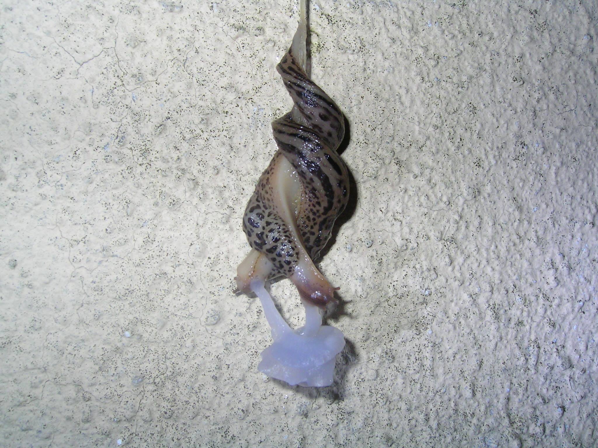 Mach das mal nach....