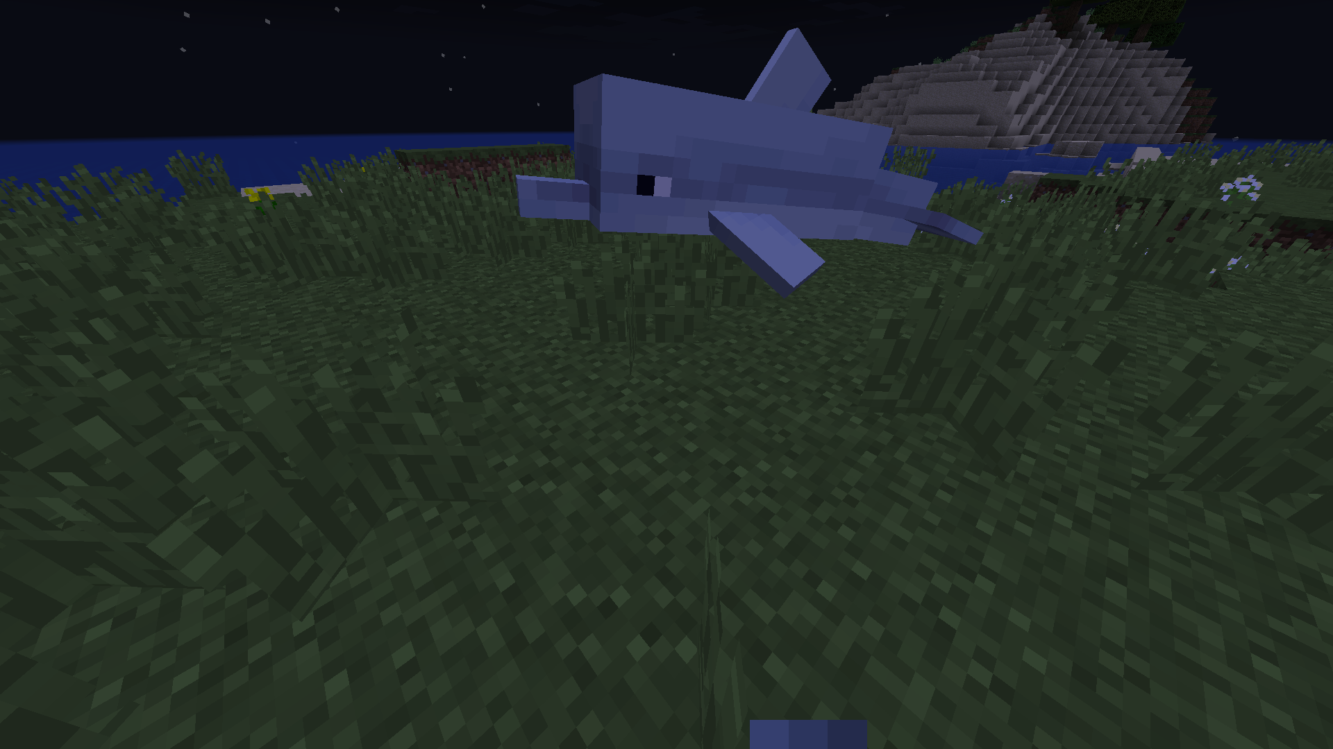 Oh, EIn Land-Delfin!