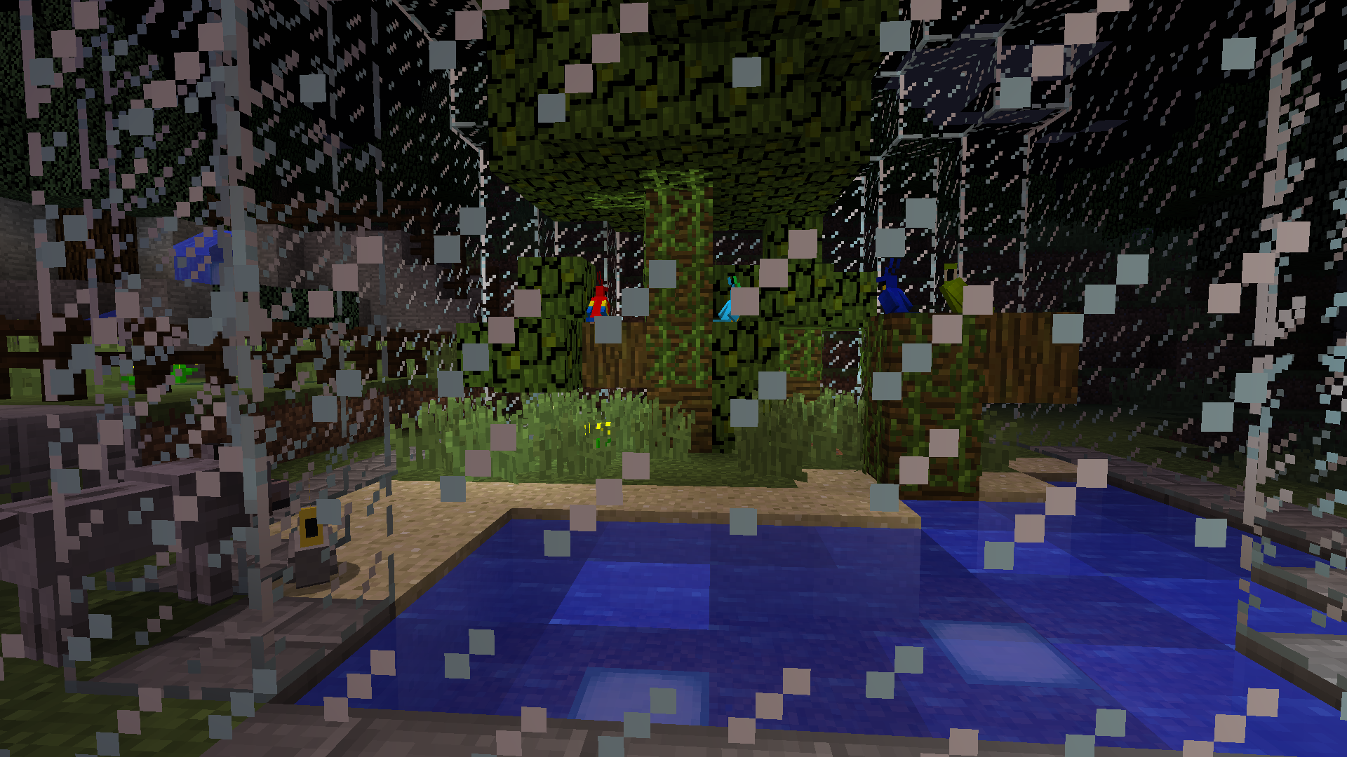 Papageien ziehen ein