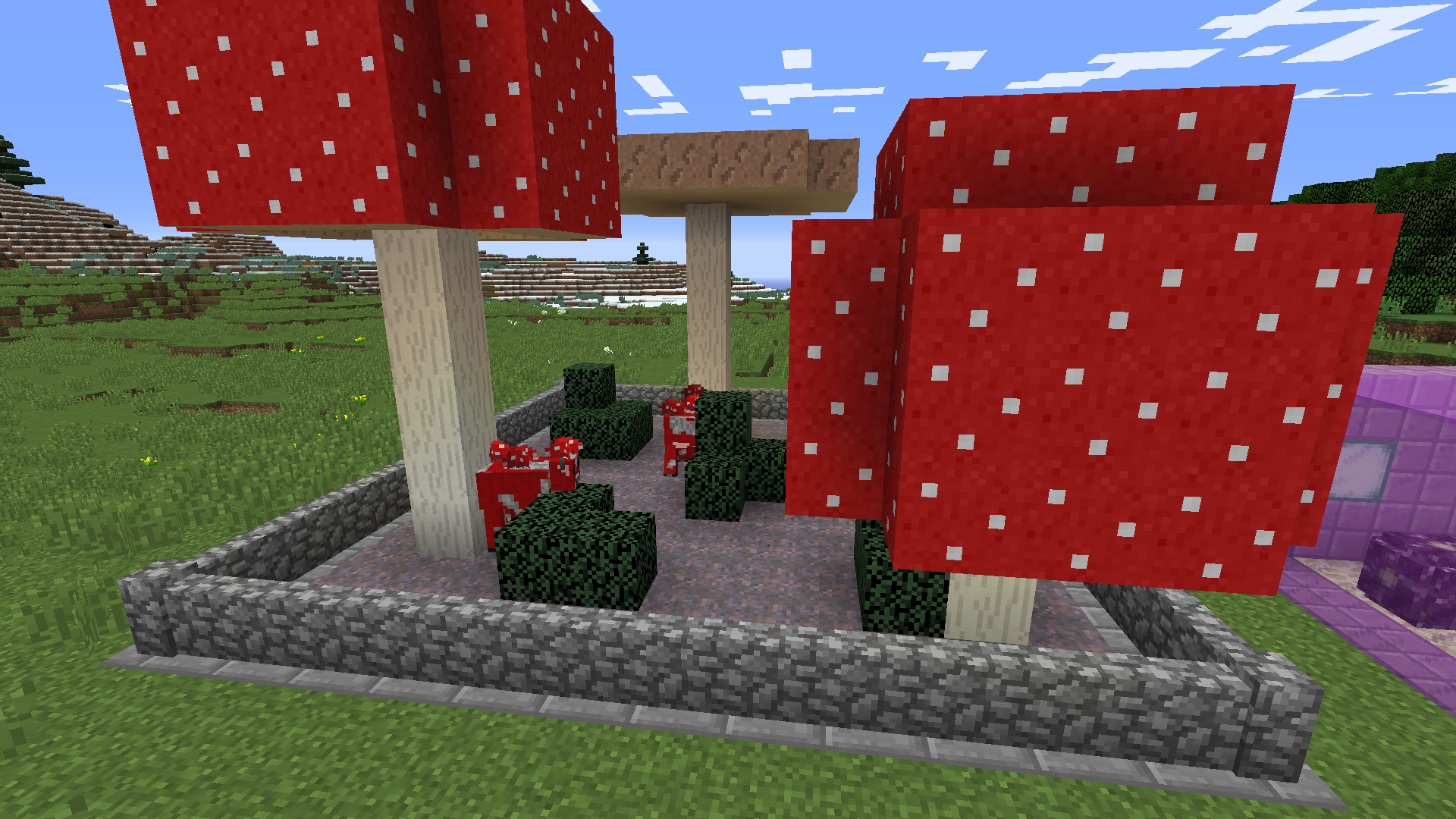 Pilzkühe ziehen ein